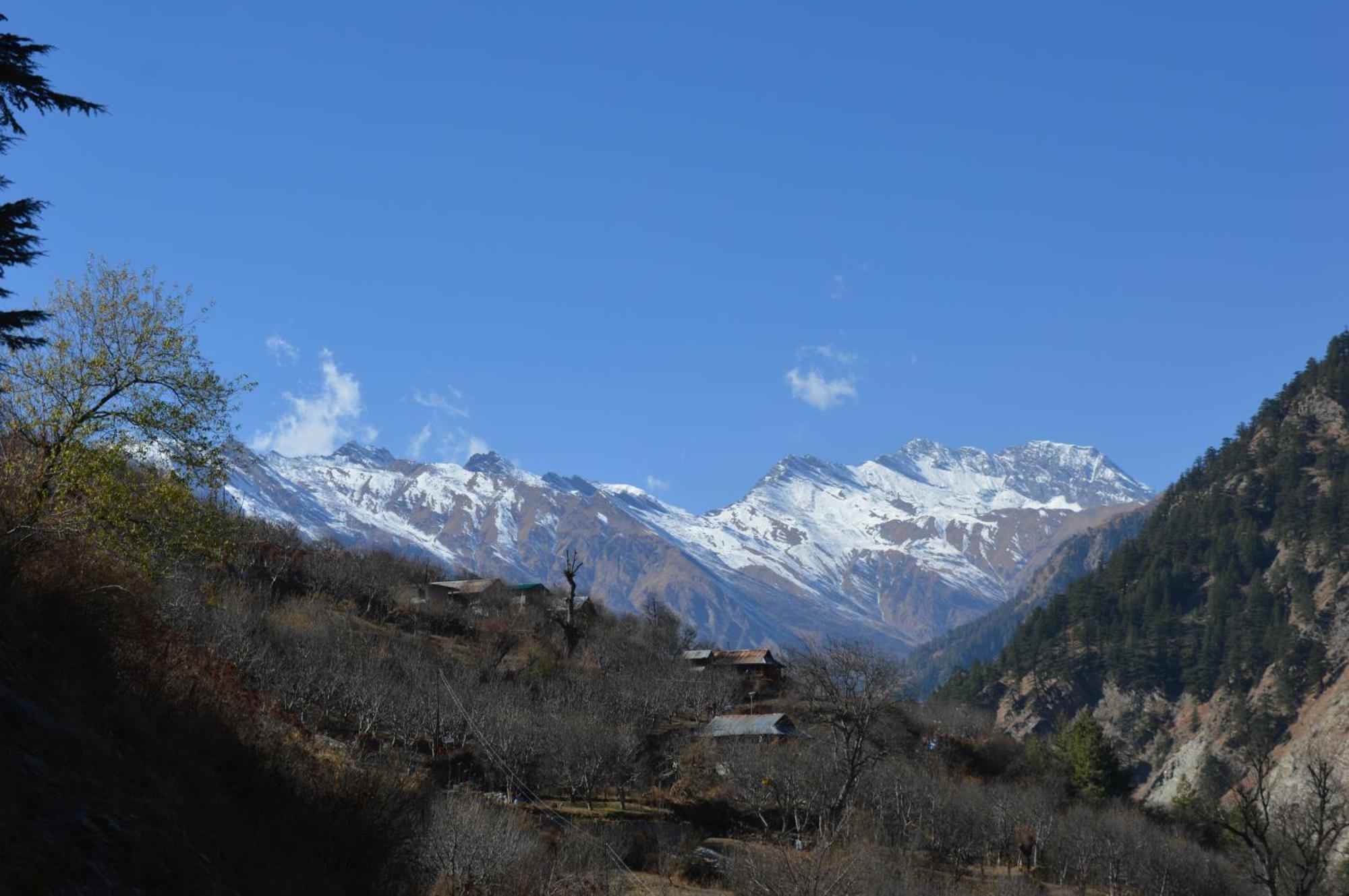 Laxmi Narayan Homestay-Harshil Harsil Kültér fotó